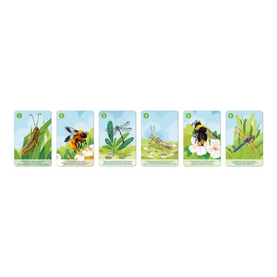 Animal Kingdom Happy Families Card Game - in Partnership with WWF®