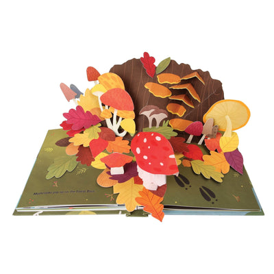 Leaves: An Autumn Pop-Up Book