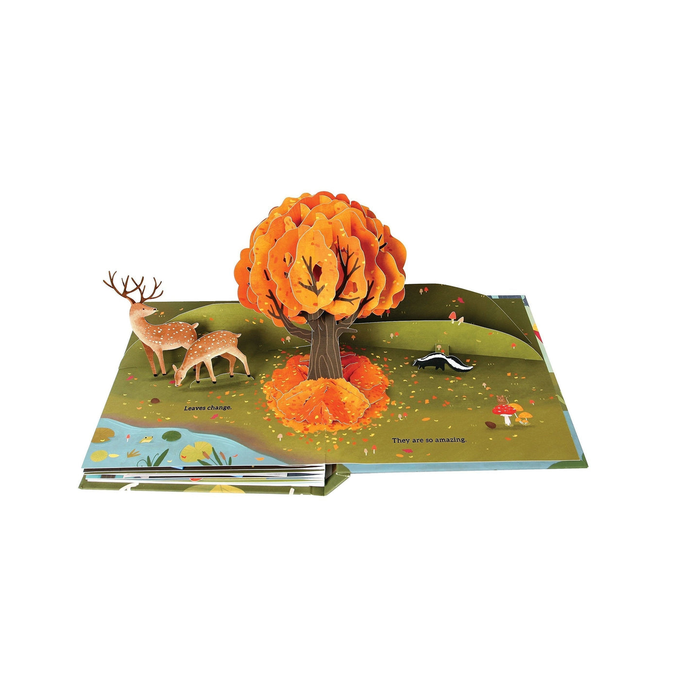 Leaves: An Autumn Pop-Up Book