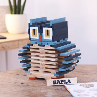 Owl Case - The New Guided Wooden Block Construction Game