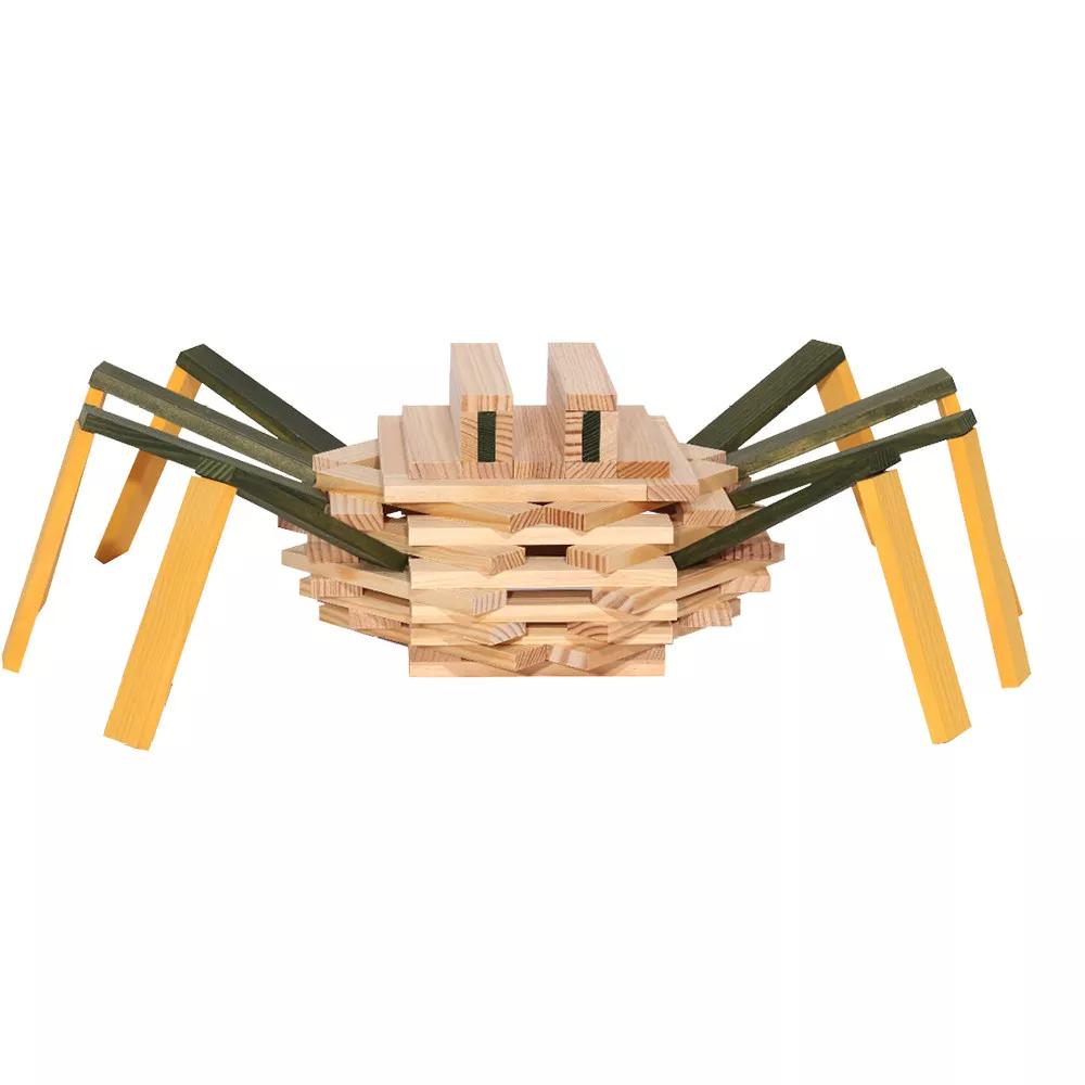 Spider Case - The New Guided Wooden Block Construction Game