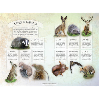 Know Your Nature: British Wildlife