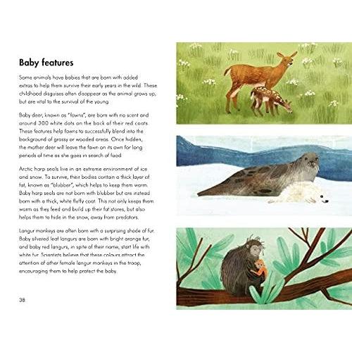A Ladybird Book: Baby Animals