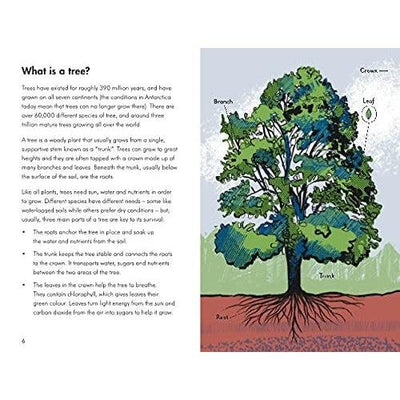 A Ladybird Book: Trees