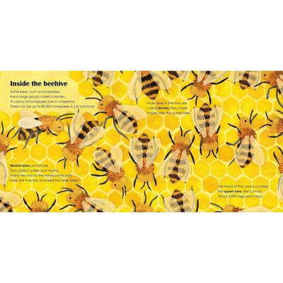 Bees: A lift-the-flap eco book