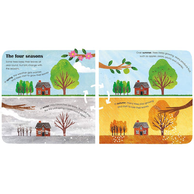 Trees: A lift-the-flap eco book
