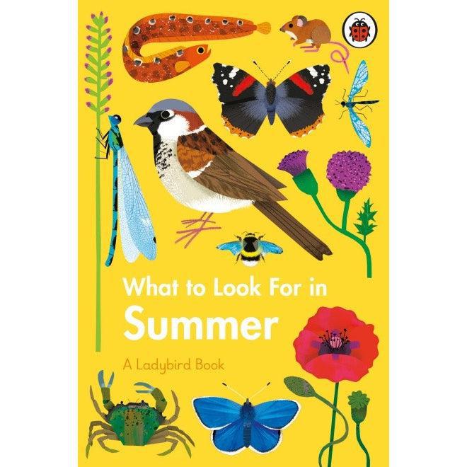What to Look For in Summer