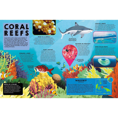 Lonely Planet Kids The Ocean Book: Explore The Hidden Depth Of Our Blue Planet