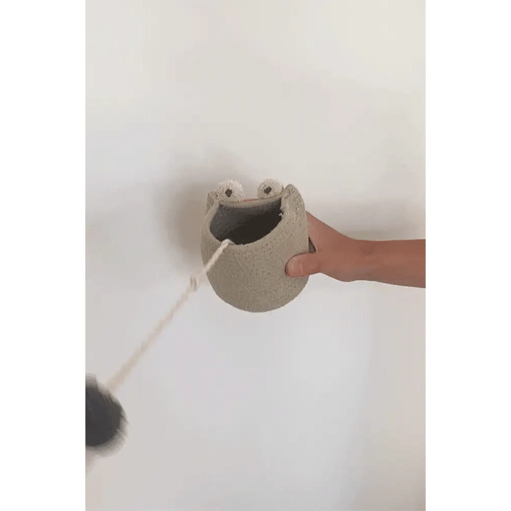 Cup and Ball Toy Baby Frog