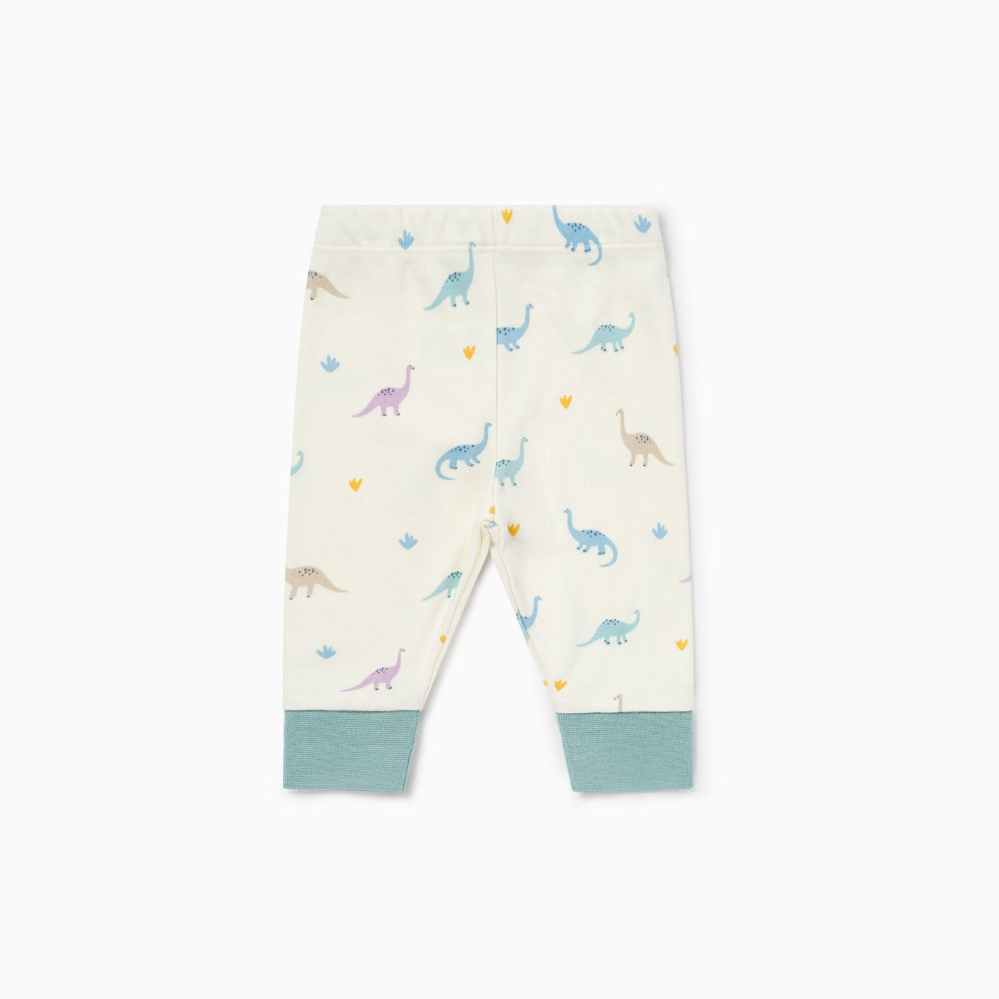 Pyjamas With Mint Ribbed Cuff - Dino Print
