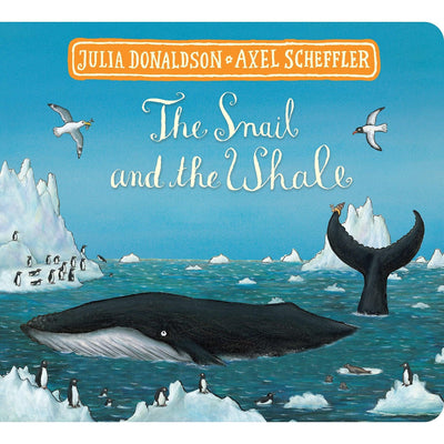 Room On The Broom And The Snail And The Whale Board Book Gift Slipcase