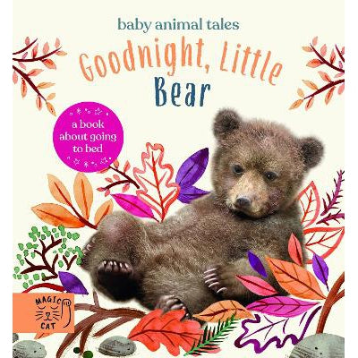 Goodnight, Little Bear: A Book About Going To Bed