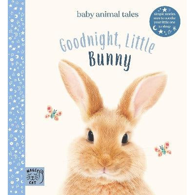 Goodnight Little Bunny - Amanda Wood