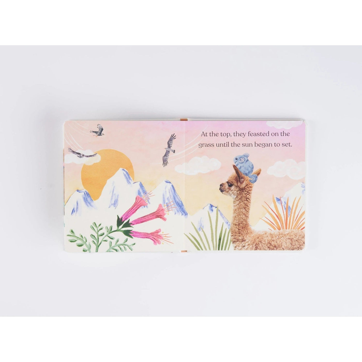 Goodnight Little Llama - A Book About Being A Good Friend - Amanda Wood & Bec Winnel & Vikki Chu
