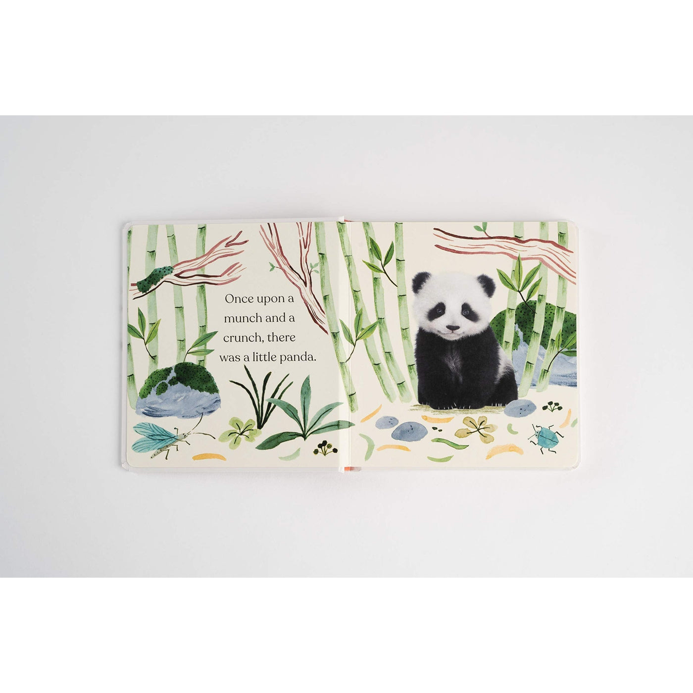 Goodnight Little Panda: A Book About Fussy Eating (Baby Animal Tales) - Amanda Wood & Bec Winnel