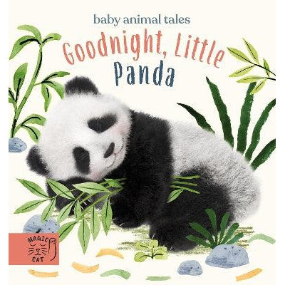 Goodnight Little Panda: A Book About Fussy Eating (Baby Animal Tales) - Amanda Wood & Bec Winnel