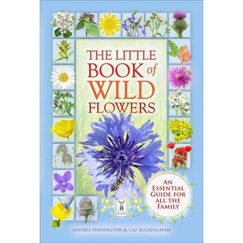 The Little Book Of Wild Flowers: A Visual Guide For All The Family: Part Of The Little Books Series - Caz Buckingham & Andrea