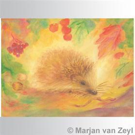 Marjan van Zeyl - Animals Postcards