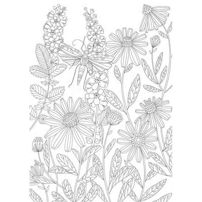 Fabulous Forests And Wild Flowers : An Anti-Stress Colouring Book