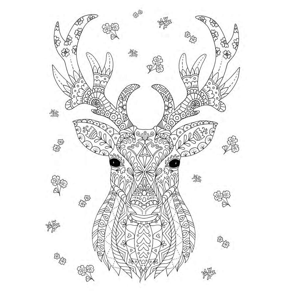 Fabulous Forests And Wild Flowers : An Anti-Stress Colouring Book