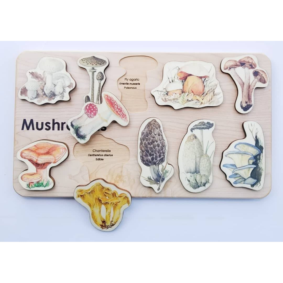 Mirus Toys Mushroom Puzzle Educational Toy