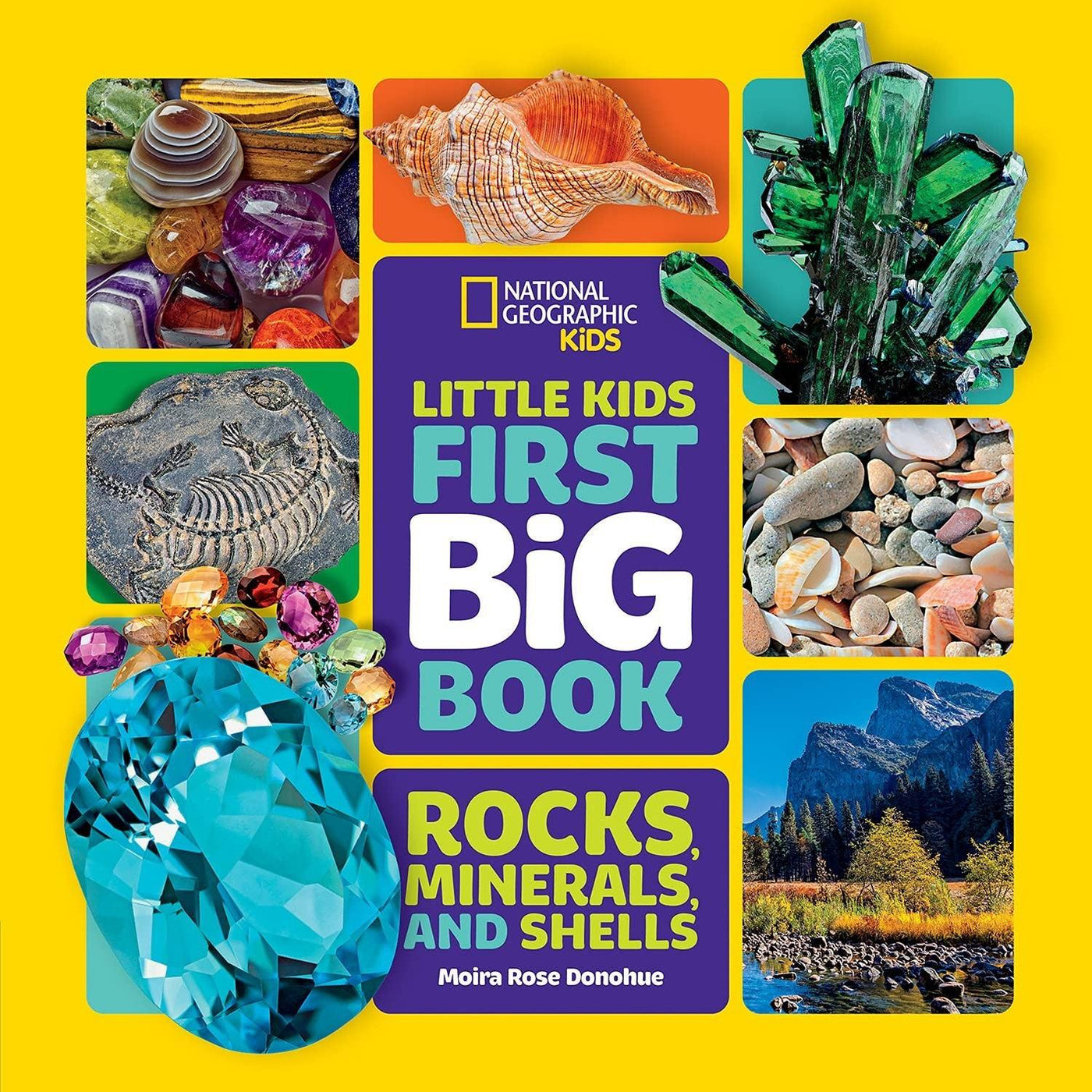 Little Kids First Big Book Of Rocks Minerals And Shells (National Geographic Kids) - Moira Rose Donohue