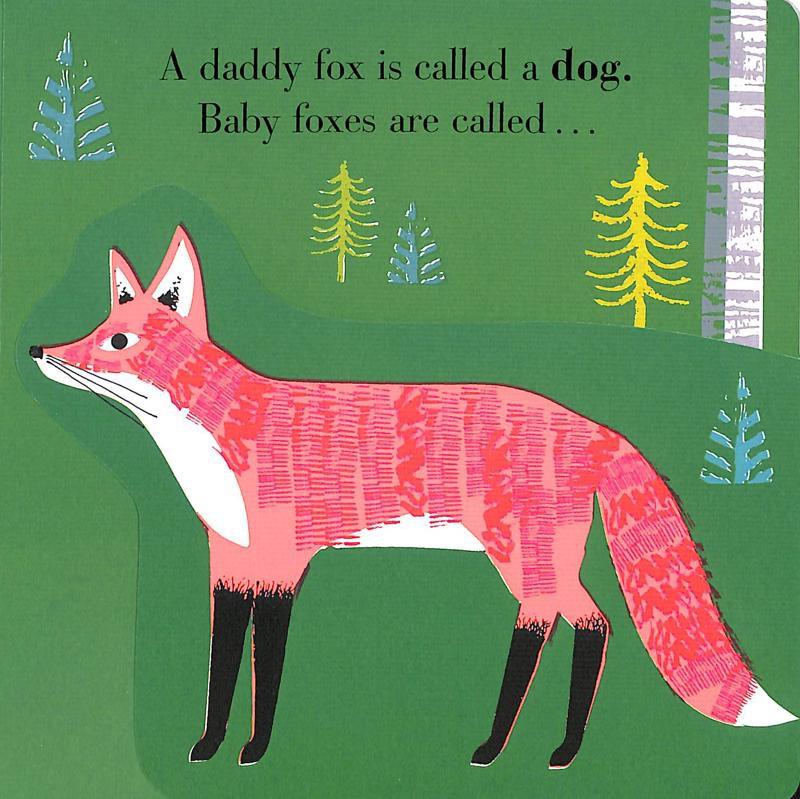 Animal Families: Forest (Animal Families Book 2) - Jane Ormes