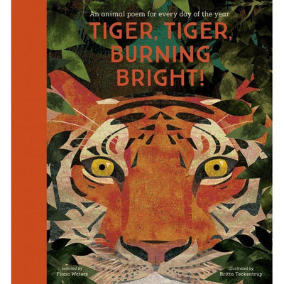 Tiger Tiger Burning Bright - By Fiona Waters & Britta Teckentrup (With Signed Limited Edition Print)