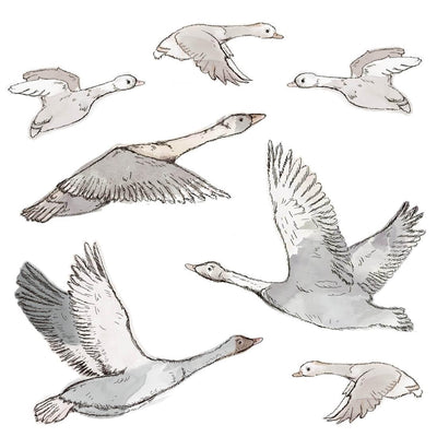 Wall Stickers - Geese