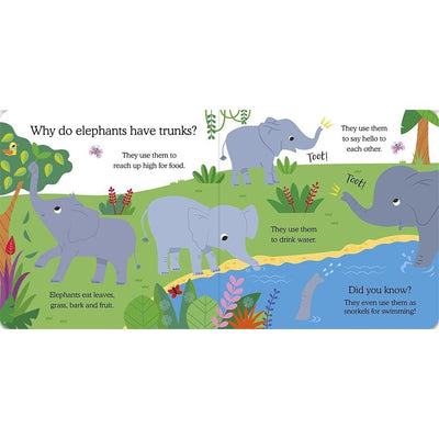 What Do Animals Do All Day?: Elephant: Lift the Flap Board Book