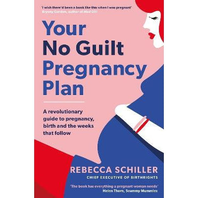 Your No Guilt Pregnancy Plan: A revolutionary guide to pregnancy, birth and the weeks that follow