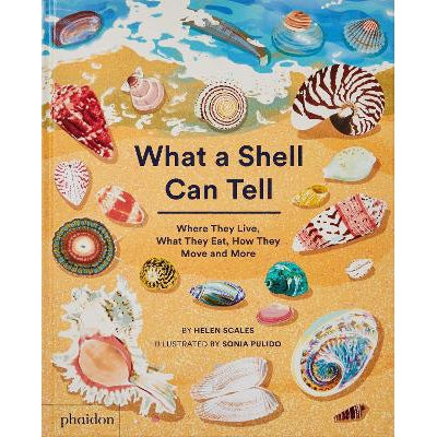 What A Shell Can Tell