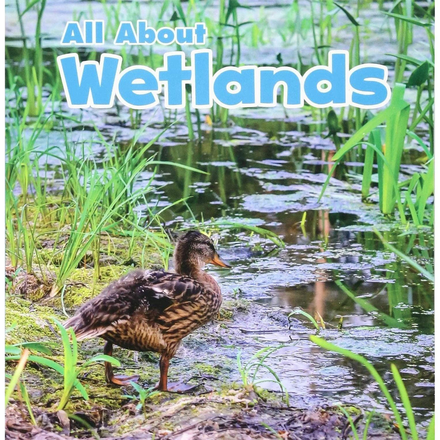 All About Wetlands (Habitats) - Christina Mia Gardeski