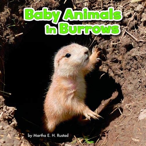 Baby Animals In Burrows (Baby Animals And Their Homes) - Martha E. H. Rustad
