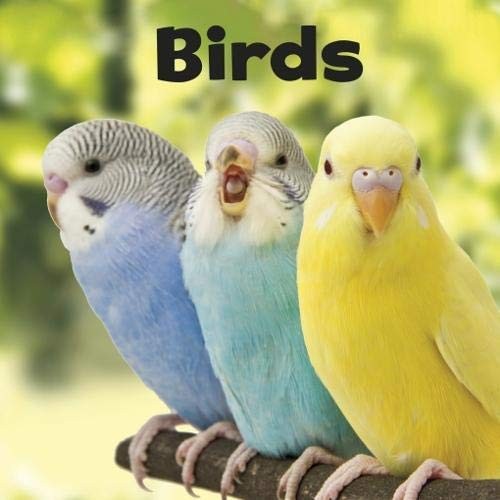 Birds (Our Pets) - Lisa J. Amstutz