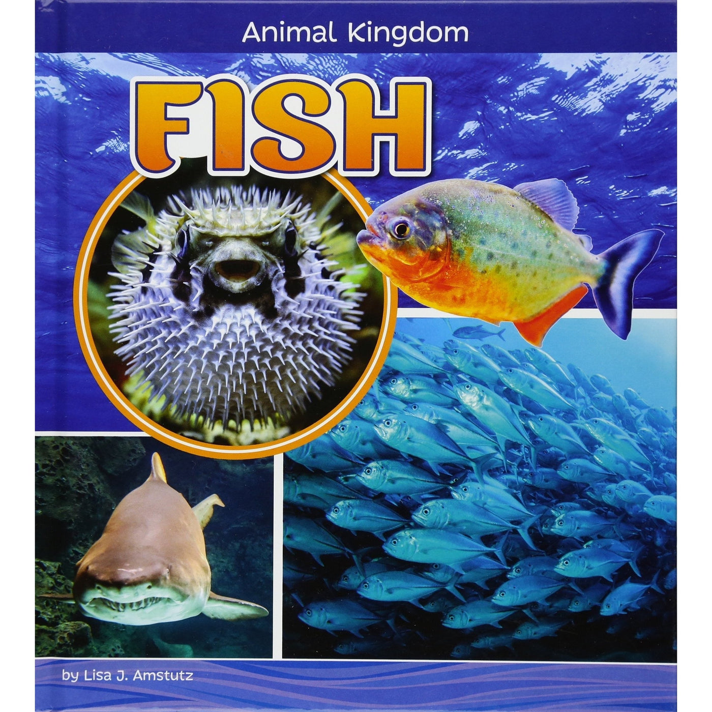 Fish (Animal Kingdom) - Lisa J. Amstutz