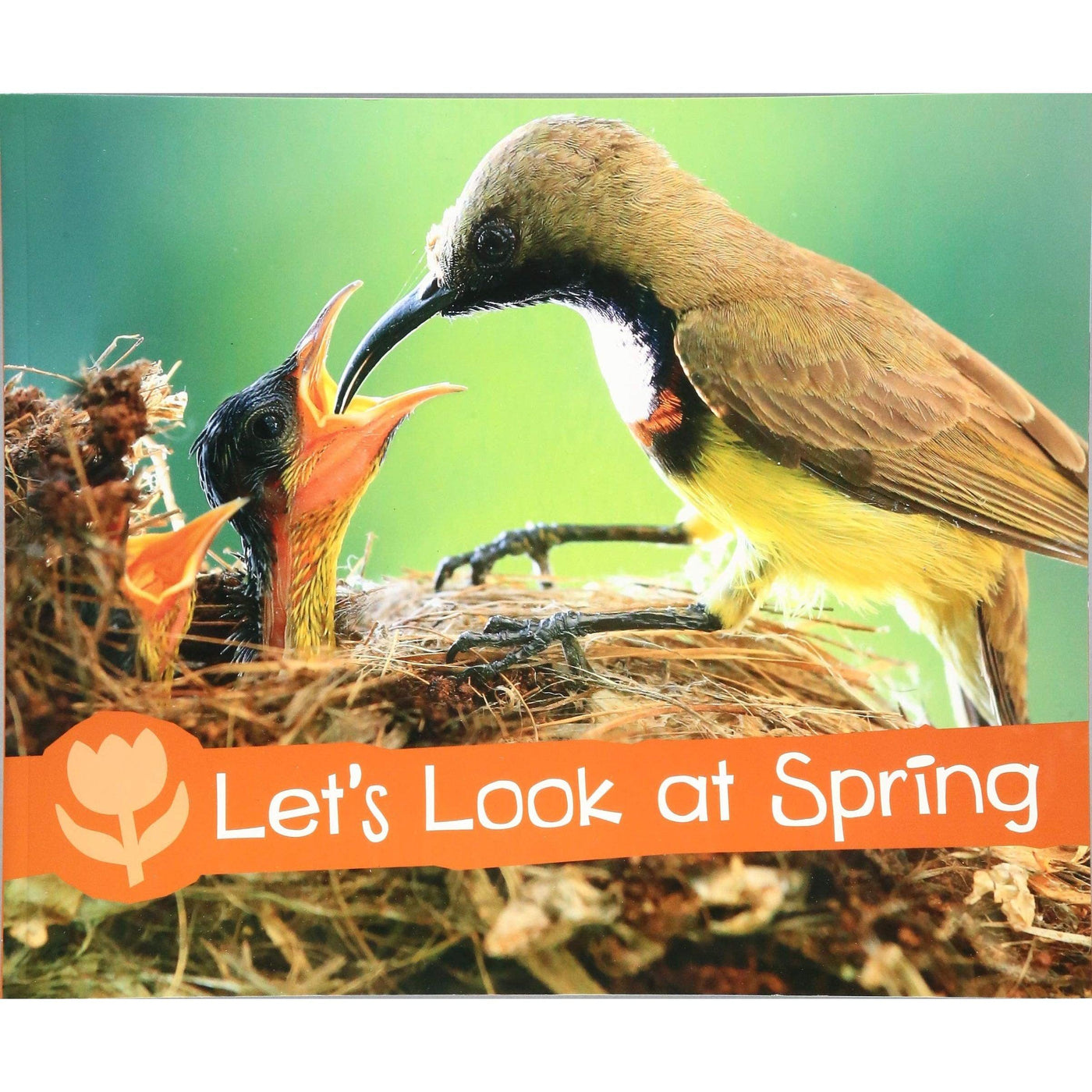 Investigate The Seasons: Let's Look At Spring - Sarah L. Schuette