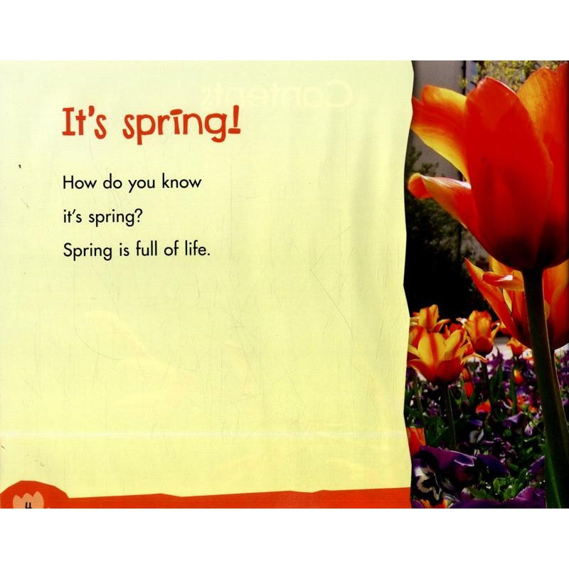 Let's Look At Spring (Investigate The Seasons) - Sarah L. Schuette