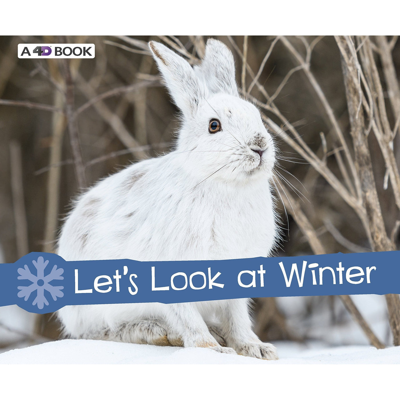 Let's Look At Winter - Sarah L. Schuette