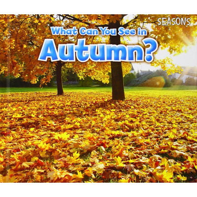 What Can You See In Autumn?