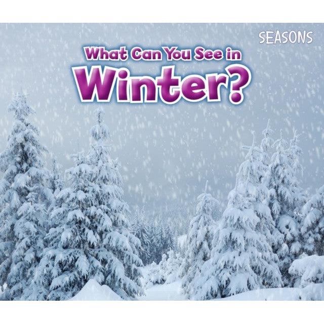 What Can You See In Winter?