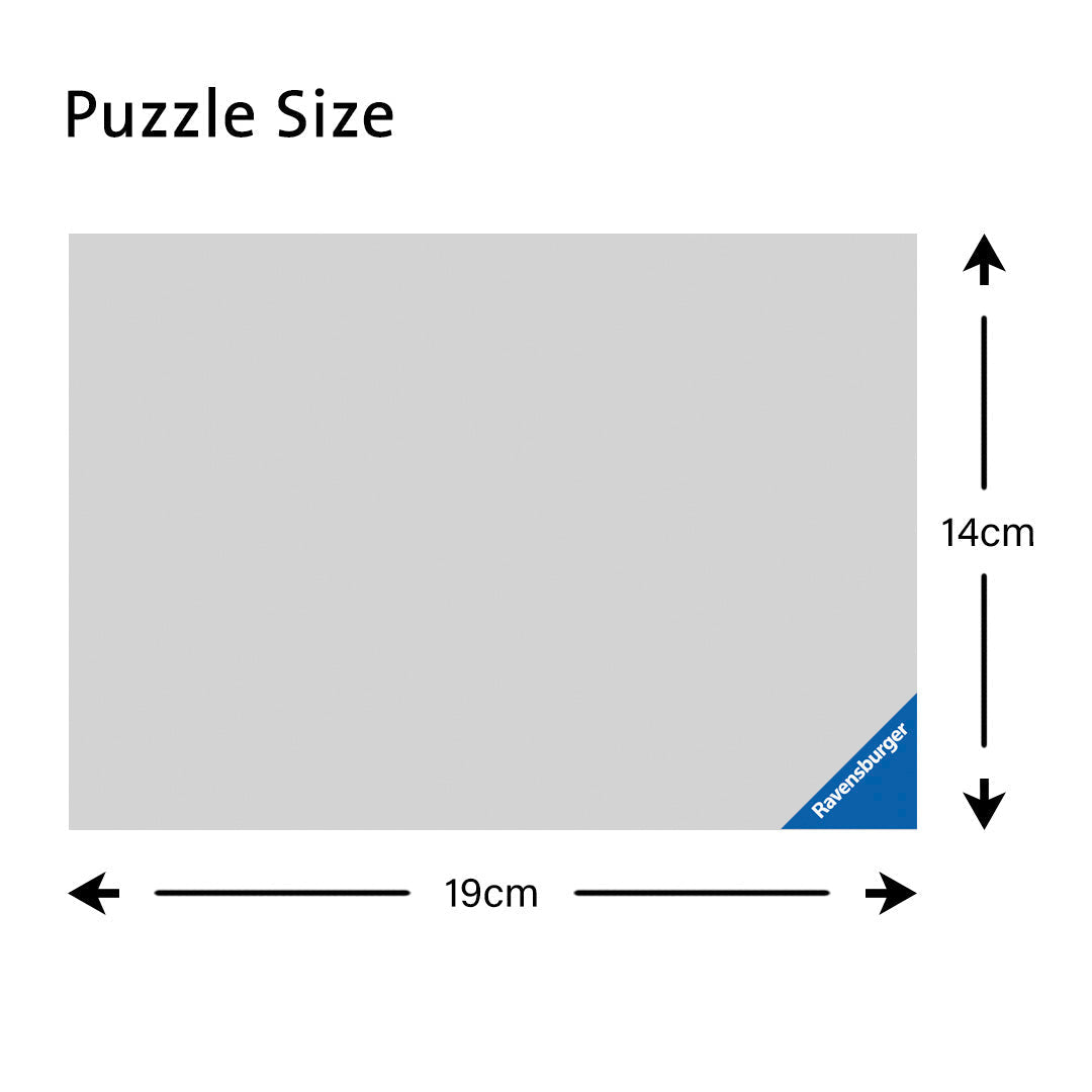 Bluey 4 in a Box (12, 16, 20, 24 piece) Jigsaw Puzzles