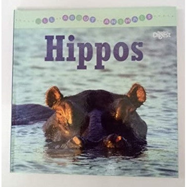 All About Hippos