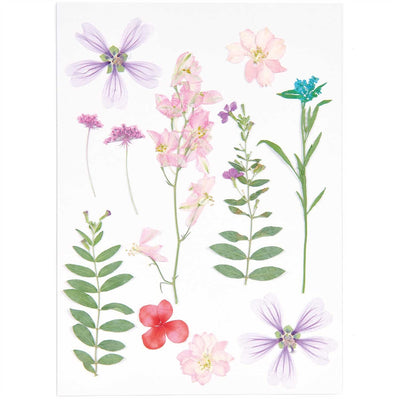 Decorative Pressed Flowers For Crafting - Mix Set Pink Violet