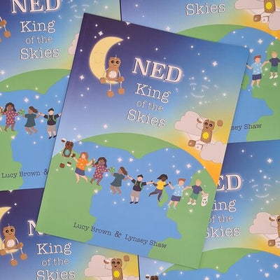 Ned King of the Skies Story Book - Lucy Brown & Lynsey Shaw