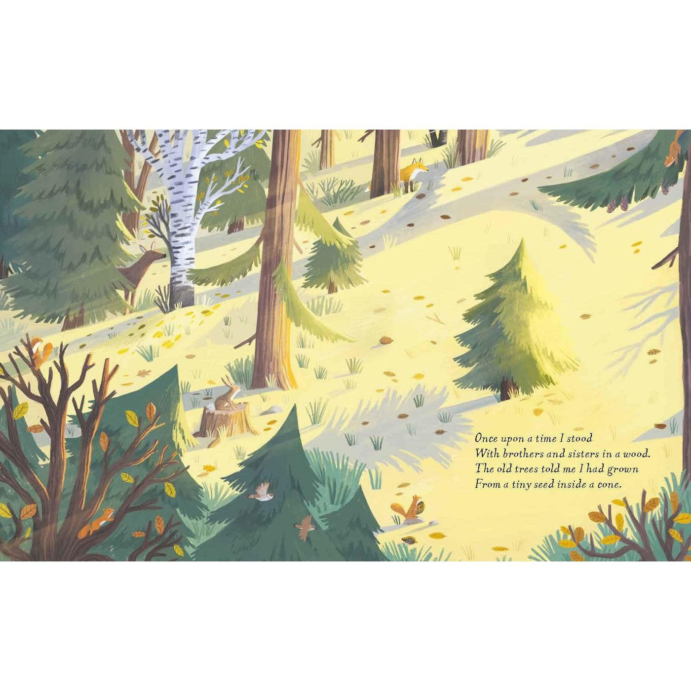 The Christmas Pine: A Magical Story For Christmas - Julia Donaldson & Victoria Sandøy