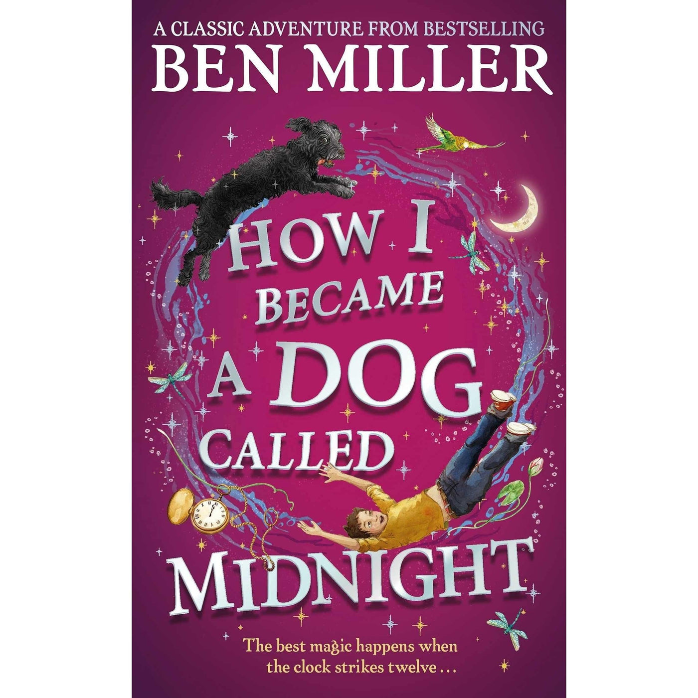 How I Became A Dog Called Midnight: A Magical Adventure From The Bestselling Author Of The Day I Fell Into A Fairytale