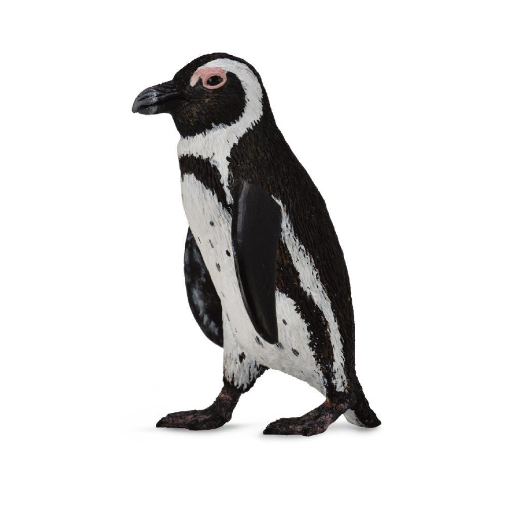 South African Penguin - Hand-Painted Animal Figure