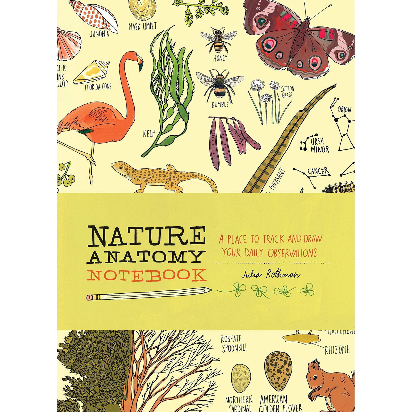 Nature Anatomy Notebook - Julia Rothman