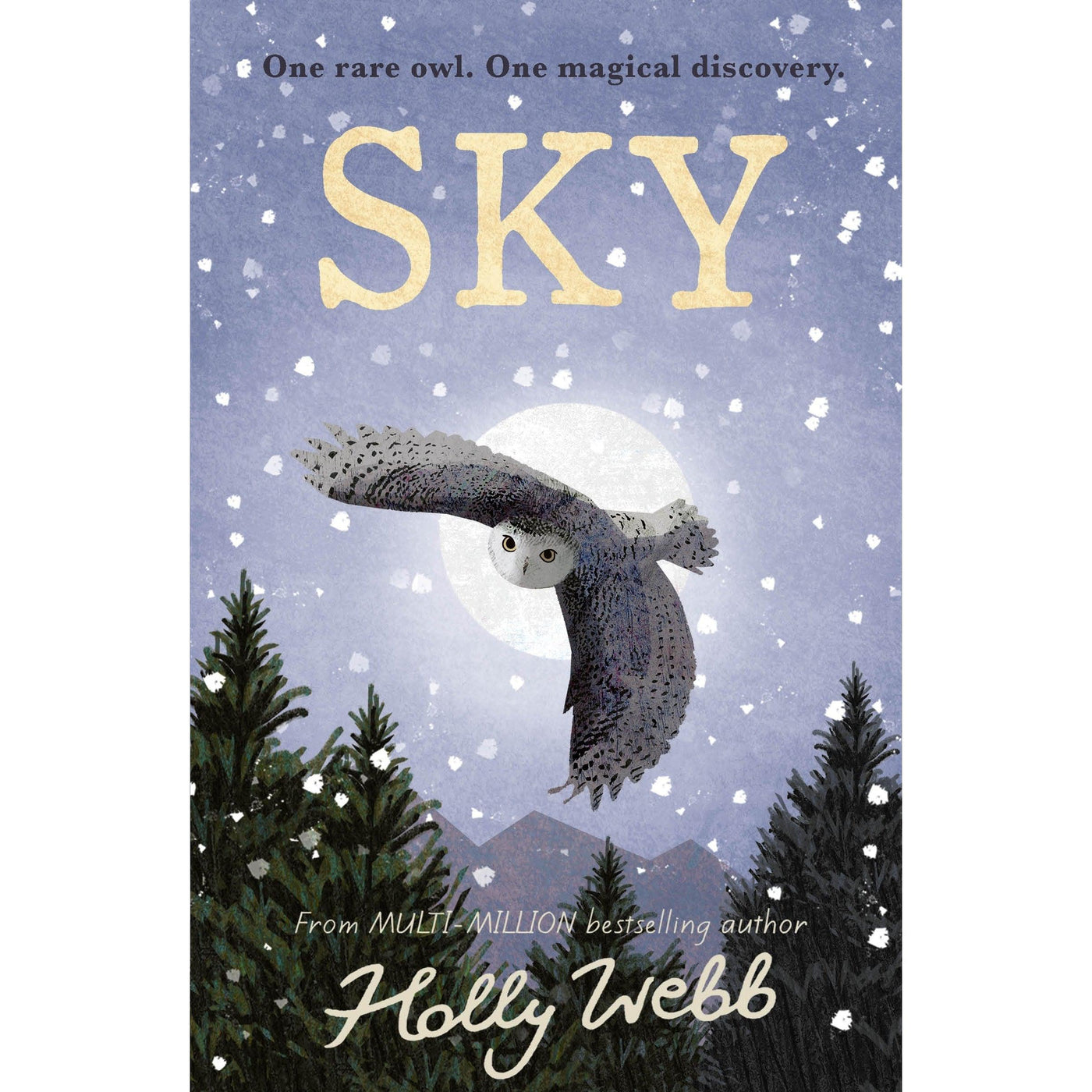 Sky: One Rare Owl. One Magical Discovery - Holly Webb